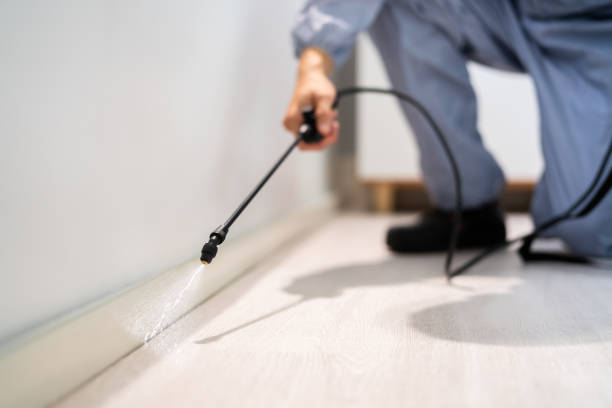 Licensed Pest Control service in Shiloh, IL - Show Me Pest Control