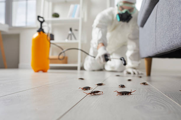 Commercial Kitchen Cockroach Control in Shiloh